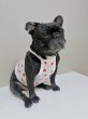 画像17: フレブル服  L XL 2XL 3XL 4XL 5XL 吸汗速乾 いちごメッシュ  クロップド タンクトップ 中型犬 大型犬 フレンチブルドッグ パグ 夏 doggystar ドッギースター 7月中旬発送 (17)