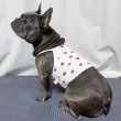 画像26: フレブル服  L XL 2XL 3XL 4XL 5XL 吸汗速乾 いちごメッシュ  クロップド タンクトップ 中型犬 大型犬 フレンチブルドッグ パグ 夏 doggystar ドッギースター 7月中旬発送 (26)