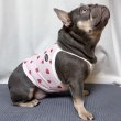 画像10: フレブル服  L XL 2XL 3XL 4XL 5XL 吸汗速乾 いちごメッシュ  クロップド タンクトップ 中型犬 大型犬 フレンチブルドッグ パグ 夏 doggystar ドッギースター 7月中旬発送 (10)