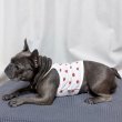 画像25: フレブル服  L XL 2XL 3XL 4XL 5XL 吸汗速乾 いちごメッシュ  クロップド タンクトップ 中型犬 大型犬 フレンチブルドッグ パグ 夏 doggystar ドッギースター 7月中旬発送 (25)