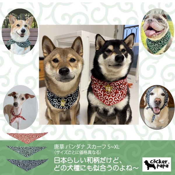 画像18: ウェルシュ コーギー バンダナ スカーフ 唐草模様 S M L  春夏秋冬 アクセサリー 雑貨 doggystar ドッギースター   即日発送出来ます (18)