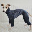画像30: イタグレ  S M L XL 2XL 3XL  ベルベットキラキラ  ロンパース つなぎ 小型犬 中型犬 大型犬 春 秋 冬服 doggystar ドッギースター ９月初旬発送できます。 (30)