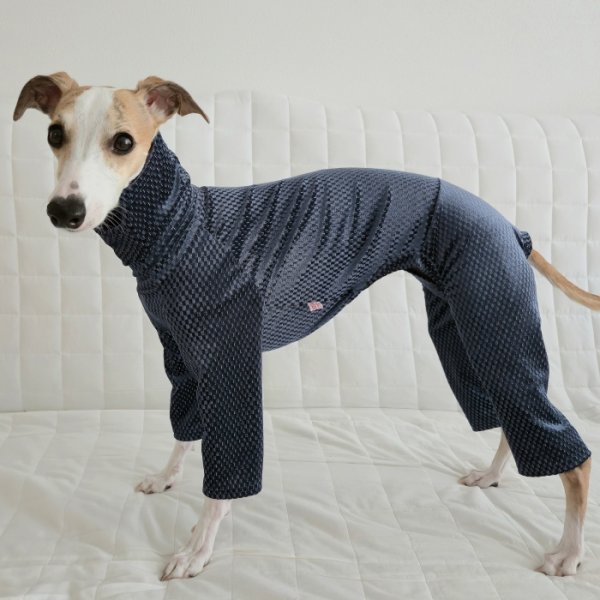 画像30: イタグレ  S M L XL 2XL 3XL  ベルベットキラキラ  ロンパース つなぎ 小型犬 中型犬 大型犬 春 秋 冬服 doggystar ドッギースター ９月初旬発送できます。 (30)