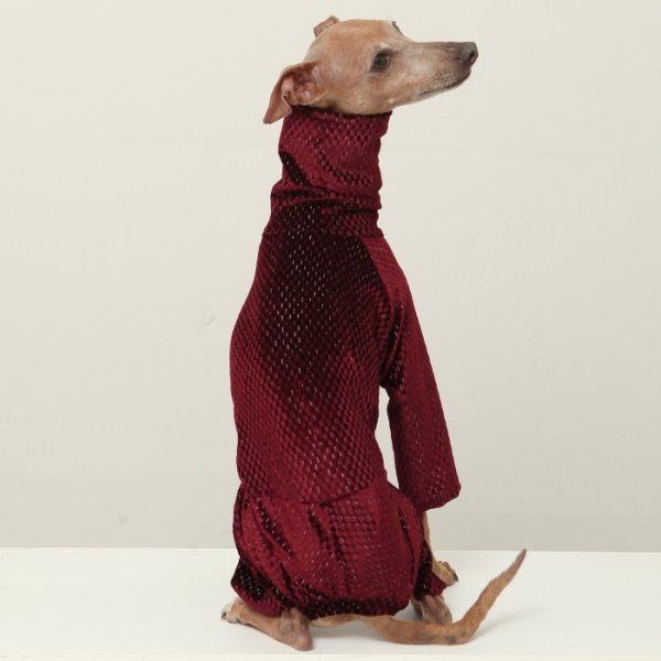 画像17: イタグレ  S M L XL 2XL 3XL  ベルベットキラキラ  ロンパース つなぎ 小型犬 中型犬 大型犬 春 秋 冬服 doggystar ドッギースター ９月初旬発送できます。 (17)