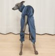 画像29: イタグレ  S M L XL 2XL 3XL  ベルベットキラキラ  ロンパース つなぎ 小型犬 中型犬 大型犬 春 秋 冬服 doggystar ドッギースター ９月初旬発送できます。 (29)
