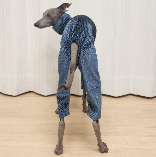 画像29: イタグレ  S M L XL 2XL 3XL  ベルベットキラキラ  ロンパース つなぎ 小型犬 中型犬 大型犬 春 秋 冬服 doggystar ドッギースター ９月初旬発送できます。 (29)
