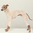 画像3: イタグレ  S M L XL 2XL 3XL  ベルベットキラキラ  ロンパース つなぎ 小型犬 中型犬 大型犬 春 秋 冬服 doggystar ドッギースター ９月初旬発送できます。 (3)