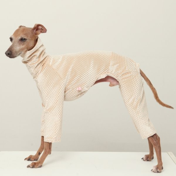 画像3: イタグレ  S M L XL 2XL 3XL  ベルベットキラキラ  ロンパース つなぎ 小型犬 中型犬 大型犬 春 秋 冬服 doggystar ドッギースター ９月初旬発送できます。 (3)
