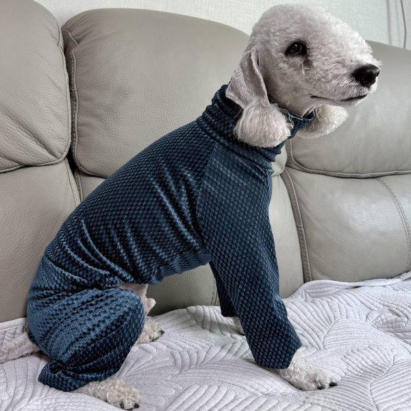 画像31: イタグレ  S M L XL 2XL 3XL  ベルベットキラキラ  ロンパース つなぎ 小型犬 中型犬 大型犬 春 秋 冬服 doggystar ドッギースター ９月初旬発送できます。 (31)