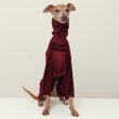 画像16: イタグレ  S M L XL 2XL 3XL  ベルベットキラキラ  ロンパース つなぎ 小型犬 中型犬 大型犬 春 秋 冬服 doggystar ドッギースター ９月初旬発送できます。 (16)
