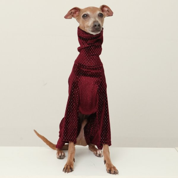 画像16: イタグレ  S M L XL 2XL 3XL  ベルベットキラキラ  ロンパース つなぎ 小型犬 中型犬 大型犬 春 秋 冬服 doggystar ドッギースター ９月初旬発送できます。 (16)