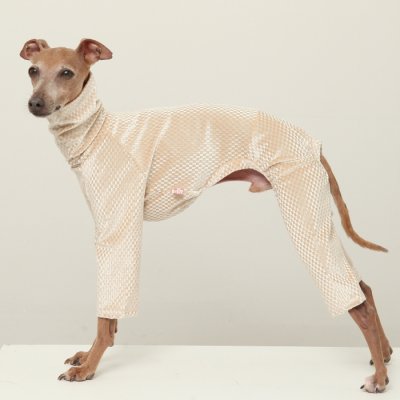 画像1: イタグレ  S M L XL 2XL 3XL  ベルベットキラキラ  ロンパース つなぎ 小型犬 中型犬 大型犬 春 秋 冬服 doggystar ドッギースター ９月初旬発送できます。