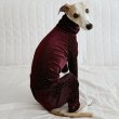 画像18: イタグレ  S M L XL 2XL 3XL  ベルベットキラキラ  ロンパース つなぎ 小型犬 中型犬 大型犬 春 秋 冬服 doggystar ドッギースター ９月初旬発送できます。 (18)