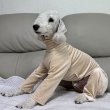 画像8: イタグレ  S M L XL 2XL 3XL  ベルベットキラキラ  ロンパース つなぎ 小型犬 中型犬 大型犬 春 秋 冬服 doggystar ドッギースター ９月初旬発送できます。 (8)