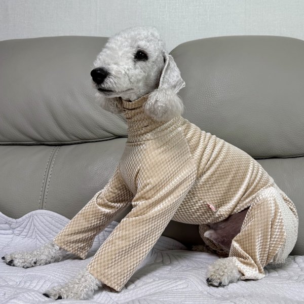 画像8: イタグレ  S M L XL 2XL 3XL  ベルベットキラキラ  ロンパース つなぎ 小型犬 中型犬 大型犬 春 秋 冬服 doggystar ドッギースター ９月初旬発送できます。 (8)