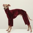 画像1: イタグレ  S M L XL 2XL 3XL  ベルベットキラキラ  ロンパース つなぎ 小型犬 中型犬 大型犬 春 秋 冬服 doggystar ドッギースター ９月初旬発送できます。 (1)