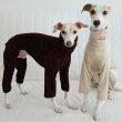 画像9: イタグレ  S M L XL 2XL 3XL  ベルベットキラキラ  ロンパース つなぎ 小型犬 中型犬 大型犬 春 秋 冬服 doggystar ドッギースター ９月初旬発送できます。 (9)