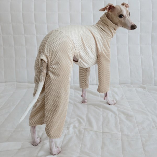画像7: イタグレ  S M L XL 2XL 3XL  ベルベットキラキラ  ロンパース つなぎ 小型犬 中型犬 大型犬 春 秋 冬服 doggystar ドッギースター ９月初旬発送できます。 (7)
