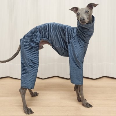 画像2: イタグレ  S M L XL 2XL 3XL  ベルベットキラキラ  ロンパース つなぎ 小型犬 中型犬 大型犬 春 秋 冬服 doggystar ドッギースター ９月初旬発送できます。