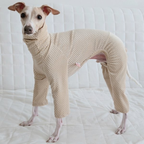 画像6: イタグレ  S M L XL 2XL 3XL  ベルベットキラキラ  ロンパース つなぎ 小型犬 中型犬 大型犬 春 秋 冬服 doggystar ドッギースター ９月初旬発送できます。 (6)