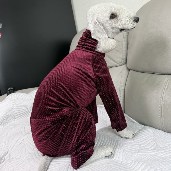 画像20: イタグレ  S M L XL 2XL 3XL  ベルベットキラキラ  ロンパース つなぎ 小型犬 中型犬 大型犬 春 秋 冬服 doggystar ドッギースター ９月初旬発送できます。 (20)