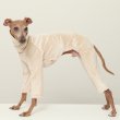 画像2: イタグレ  S M L XL 2XL 3XL  ベルベットキラキラ  ロンパース つなぎ 小型犬 中型犬 大型犬 春 秋 冬服 doggystar ドッギースター ９月初旬発送できます。 (2)
