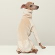 画像5: イタグレ  S M L XL 2XL 3XL  ベルベットキラキラ  ロンパース つなぎ 小型犬 中型犬 大型犬 春 秋 冬服 doggystar ドッギースター ９月初旬発送できます。 (5)