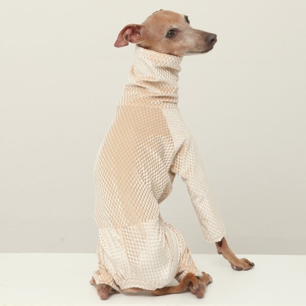 画像5: イタグレ  S M L XL 2XL 3XL  ベルベットキラキラ  ロンパース つなぎ 小型犬 中型犬 大型犬 春 秋 冬服 doggystar ドッギースター ９月初旬発送できます。 (5)