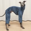 画像27: イタグレ  S M L XL 2XL 3XL  ベルベットキラキラ  ロンパース つなぎ 小型犬 中型犬 大型犬 春 秋 冬服 doggystar ドッギースター ９月初旬発送できます。 (27)
