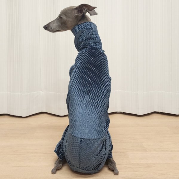 画像28: イタグレ  S M L XL 2XL 3XL  ベルベットキラキラ  ロンパース つなぎ 小型犬 中型犬 大型犬 春 秋 冬服 doggystar ドッギースター ９月初旬発送できます。 (28)
