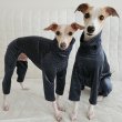 画像25: イタグレ  S M L XL 2XL 3XL  ベルベットキラキラ  ロンパース つなぎ 小型犬 中型犬 大型犬 春 秋 冬服 doggystar ドッギースター ９月初旬発送できます。 (25)