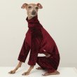 画像15: イタグレ  S M L XL 2XL 3XL  ベルベットキラキラ  ロンパース つなぎ 小型犬 中型犬 大型犬 春 秋 冬服 doggystar ドッギースター ９月初旬発送できます。 (15)