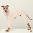 画像38: イタグレ服 S M L XL 2XL 3XL ボア フリース ロンパース つなぎ 小型犬 中型犬 大型犬 冬服 doggystar ドッギースター 即日発送出来ます (38)