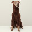 画像28: イタグレ服 S M L XL 2XL 3XL ボア フリース ロンパース つなぎ 小型犬 中型犬 大型犬 冬服 doggystar ドッギースター 即日発送出来ます (28)
