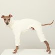 画像30: イタグレ服 S M L XL 2XL 3XL ボア フリース ロンパース つなぎ 小型犬 中型犬 大型犬 冬服 doggystar ドッギースター 即日発送出来ます (30)