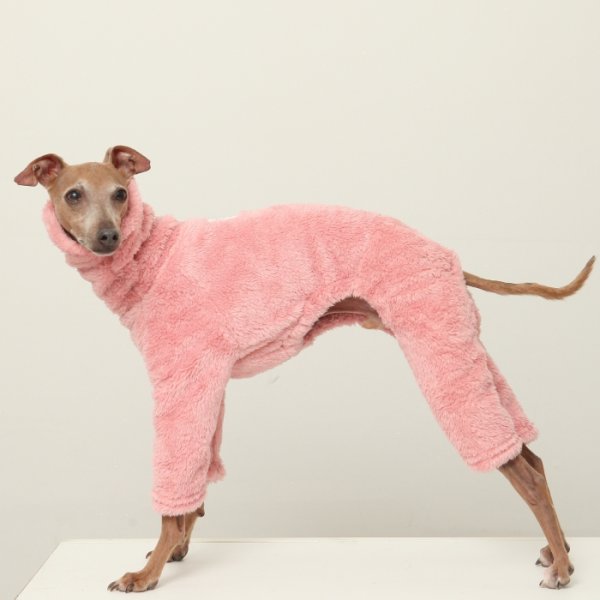 画像34: イタグレ服 S M L XL 2XL 3XL ボア フリース ロンパース つなぎ 小型犬 中型犬 大型犬 冬服 doggystar ドッギースター 即日発送出来ます (34)