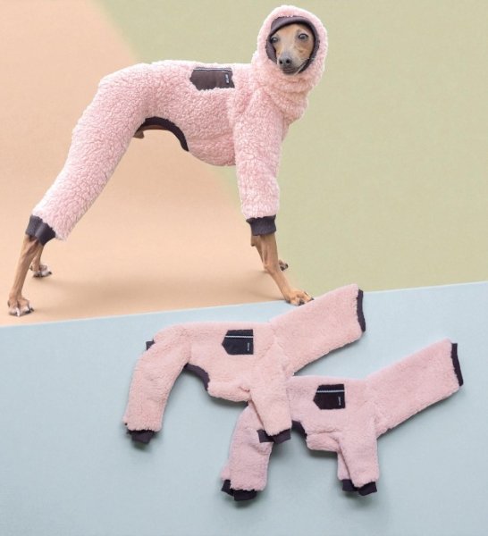 画像1: セール イタグレ服 XL 2XL 3XL ボア ポケット フリース ロンパース つなぎ 小型犬 中型犬 大型犬 冬服 doggystar ドッギースター 即日発送致します (1)