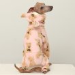 画像18: イタグレ服 S M L XL 2XL 3XL くまさん フリース ロンパース つなぎ 小型犬 中型犬 大型犬 冬服 韓国犬服 doggystar ドッギースター 9月初旬発送出来ます (18)