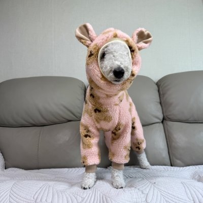 画像2: イタグレ服 S M L XL 2XL 3XL くまさん フリース ロンパース つなぎ 小型犬 中型犬 大型犬 冬服 韓国犬服 doggystar ドッギースター 9月初旬発送出来ます