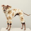 画像28: イタグレ服 S M L XL 2XL 3XL くまさん フリース ロンパース つなぎ 小型犬 中型犬 大型犬 冬服 韓国犬服 doggystar ドッギースター 9月初旬発送出来ます (28)
