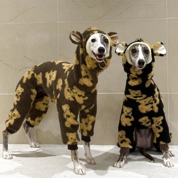 画像12: イタグレ服 S M L XL 2XL 3XL くまさん フリース ロンパース つなぎ 小型犬 中型犬 大型犬 冬服 韓国犬服 doggystar ドッギースター 9月初旬発送出来ます (12)