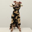 画像9: イタグレ服 S M L XL 2XL 3XL くまさん フリース ロンパース つなぎ 小型犬 中型犬 大型犬 冬服 韓国犬服 doggystar ドッギースター 9月初旬発送出来ます (9)