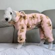 画像22: イタグレ服 S M L XL 2XL 3XL くまさん フリース ロンパース つなぎ 小型犬 中型犬 大型犬 冬服 韓国犬服 doggystar ドッギースター 9月初旬発送出来ます (22)