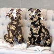 画像5: イタグレ服 S M L XL 2XL 3XL くまさん フリース ロンパース つなぎ 小型犬 中型犬 大型犬 冬服 韓国犬服 doggystar ドッギースター 9月初旬発送出来ます (5)