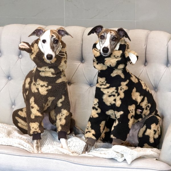 画像5: イタグレ服 S M L XL 2XL 3XL くまさん フリース ロンパース つなぎ 小型犬 中型犬 大型犬 冬服 韓国犬服 doggystar ドッギースター 9月初旬発送出来ます (5)