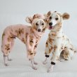 画像23: イタグレ服 S M L XL 2XL 3XL くまさん フリース ロンパース つなぎ 小型犬 中型犬 大型犬 冬服 韓国犬服 doggystar ドッギースター 9月初旬発送出来ます (23)