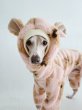 画像20: イタグレ服 S M L XL 2XL 3XL くまさん フリース ロンパース つなぎ 小型犬 中型犬 大型犬 冬服 韓国犬服 doggystar ドッギースター 9月初旬発送出来ます (20)