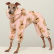 画像17: イタグレ服 S M L XL 2XL 3XL くまさん フリース ロンパース つなぎ 小型犬 中型犬 大型犬 冬服 韓国犬服 doggystar ドッギースター 9月初旬発送出来ます (17)