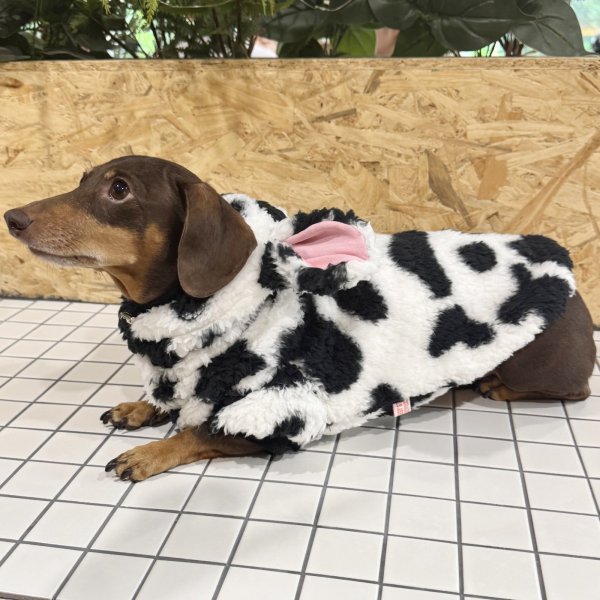 画像1: ダックスフンド 服 ウシさん ボアパーカー Ｔシャツ 小型犬 中型犬 S M L XL 春夏秋冬 ダックス おしゃれ 犬 洋服 doggystar ドッギースター 即日発送出来ます (1)