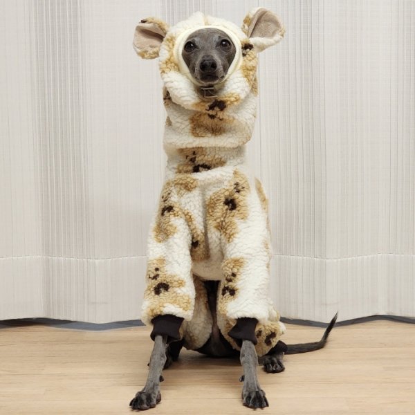 画像32: イタグレ服 S M L XL 2XL 3XL くまさん フリース ロンパース つなぎ 小型犬 中型犬 大型犬 冬服 韓国犬服 doggystar ドッギースター 9月初旬発送出来ます (32)